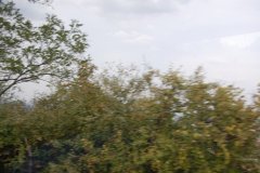 DSC_0255