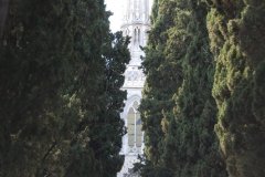 DSC_0100