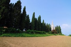 DSC_8820