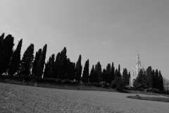 DSC_8822