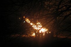 IMG_1350