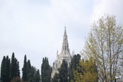 DSC_0019