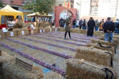 DSC_0075