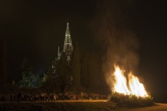 DSC5242