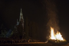 DSC5244